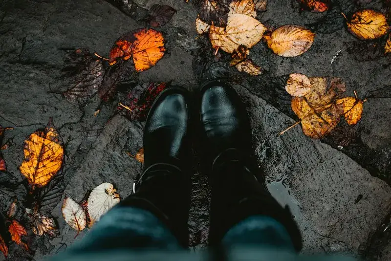Fallen autumn leaves gathered on a wet paved surface, the seasonal reality of a driveway under trees