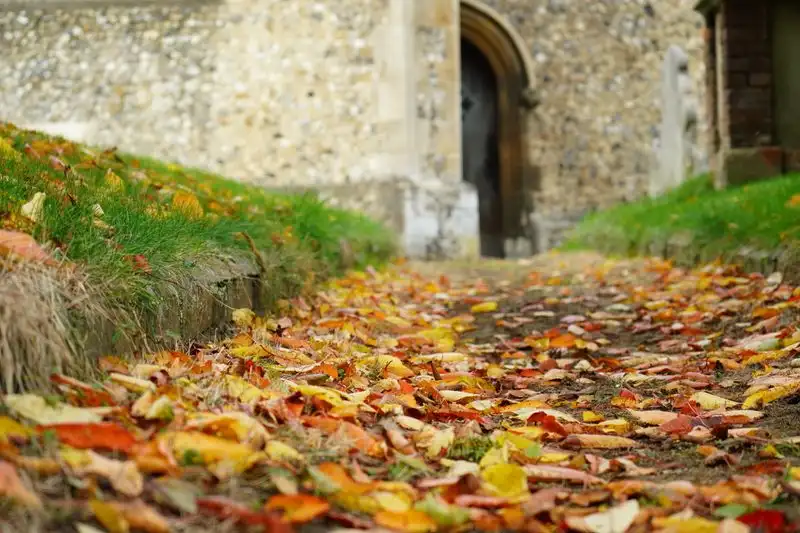 Autumn leaves collecting on a driveway surface