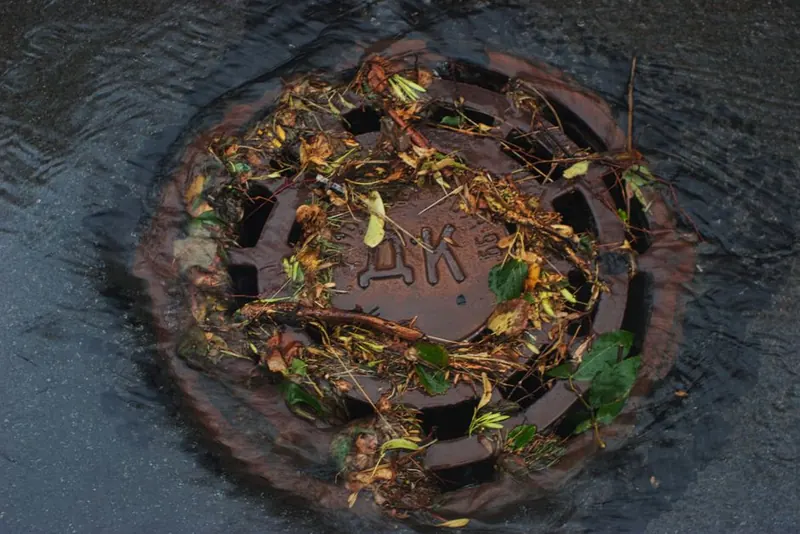 Rainwater collecting around a leaf-covered drain, showing what happens when surface water has nowhere to go