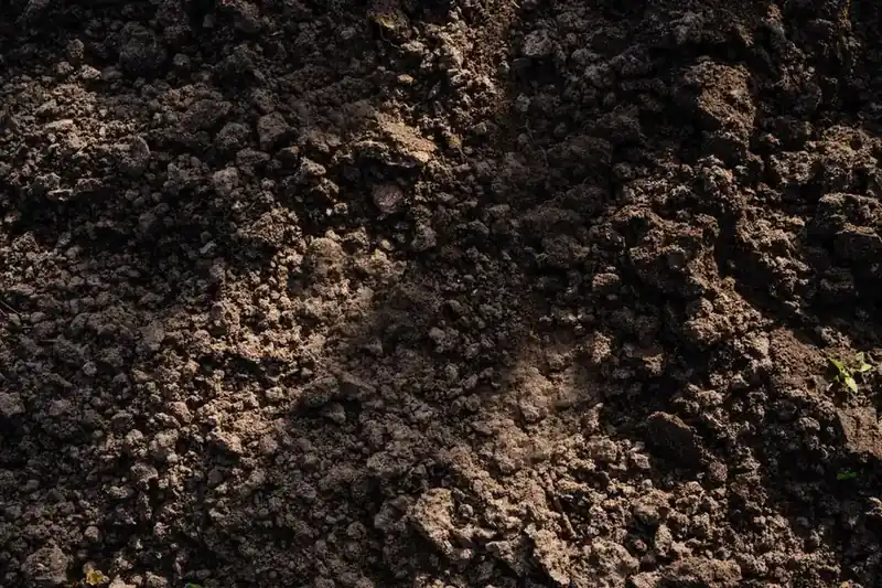 Clay soil ground conditions in a Swindon garden
