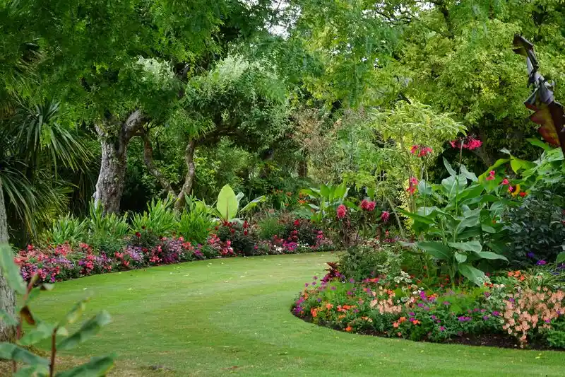 Curved garden path leading to a patio area