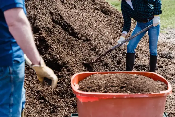 Two people digging and barrowing soil out of a garden during ground clearance work