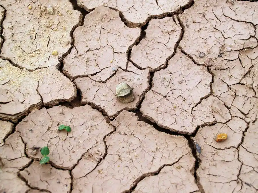Dry cracked clay soil showing shrink-swell ground conditions