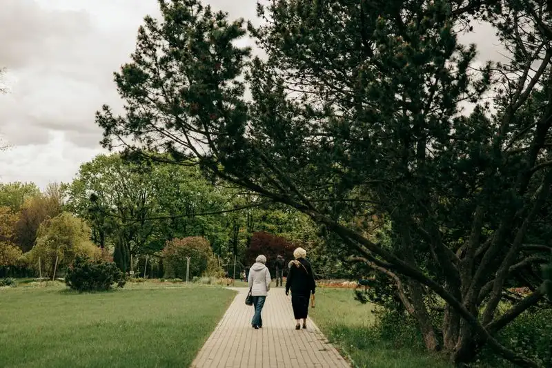 Elderly person walking safely along a path