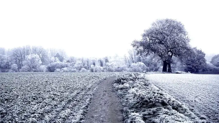 Frosty pathway on a cold winter morning in England