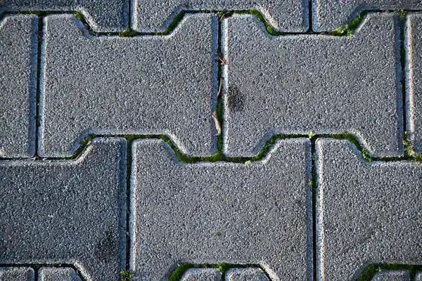 Moss and weed growth in the joints of block paving, the recurring upkeep a jointless Swindon resin driveway avoids