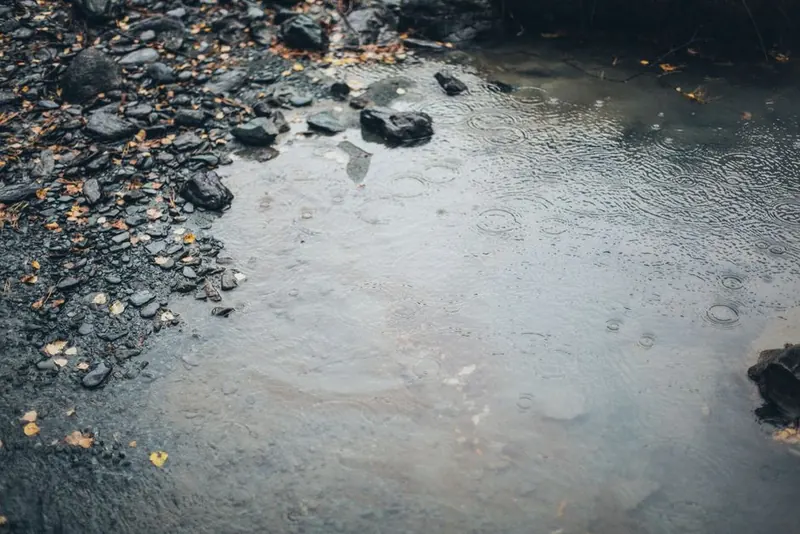 Rainwater soaking away between stones instead of running off, the way a permeable resin surface handles rain