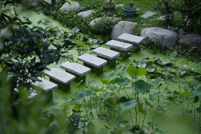 Stepping stone style garden path