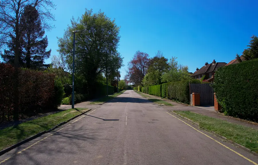 Tree-lined residential street of detached homes with driveways near Chippenham