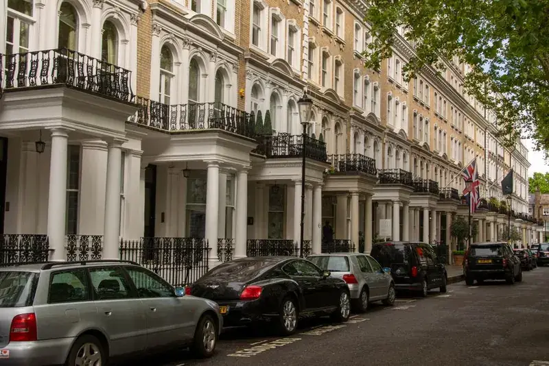 Mature street trees in front of a terrace of period townhouses, the kind of trees often protected in conservation areas
