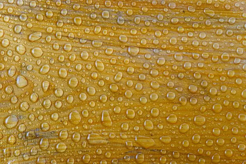 Water on a resin surface