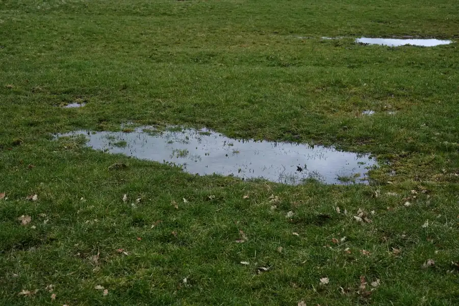 Waterlogged ground with standing water sitting on the surface, showing how slowly heavy clay drains around Swindon
