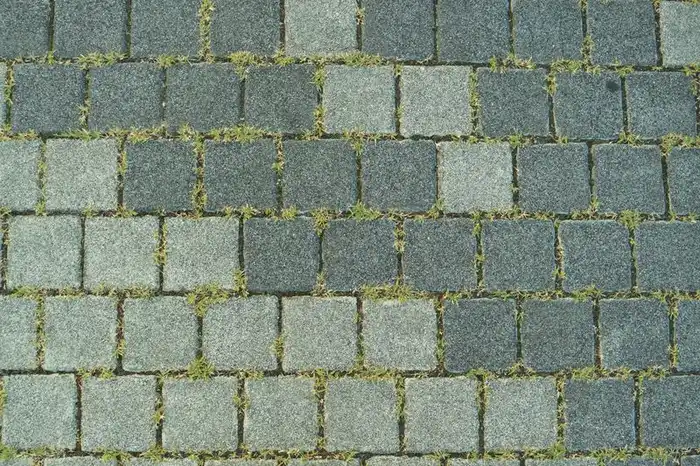 Weeds growing in block paving joints
