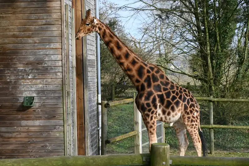Longleat